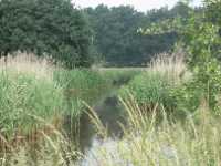 7500 Grijze Steen - Neterselse Heide 081 Meer GPS wandelingen kunt u vinden op  www.gpswalking.nl